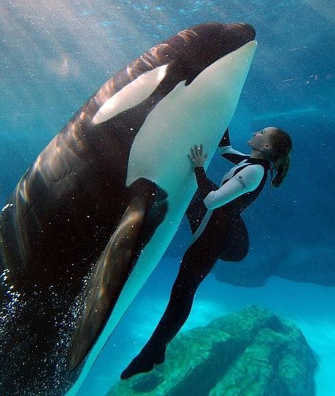 Diluir el Poder: no enfrentarse